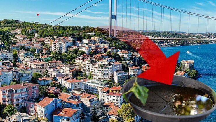 İstanbul’da iki ilçede yaygınlaştı! Birçok hastalığa neden oluyor… Uzmanlar uyardı: Balkon ve bahçenize su bırakmayın