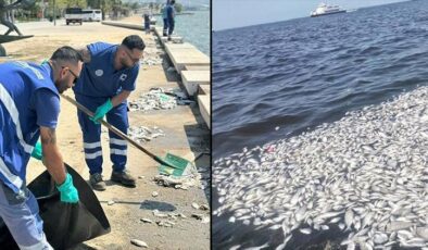 İzmir’de kokuya neden olan balık ölümleriyle ilgili açıklama…. Su ve balıklardan alınan numenin analiz sonuçları paylaşıldı