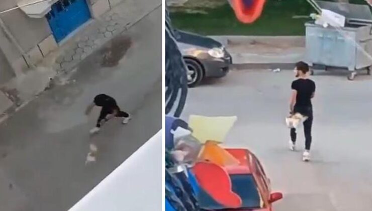 Köpeğine şiddet uygulayan şahıs gözaltına alındı