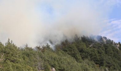 Hatay Arsuz’da orman yangını