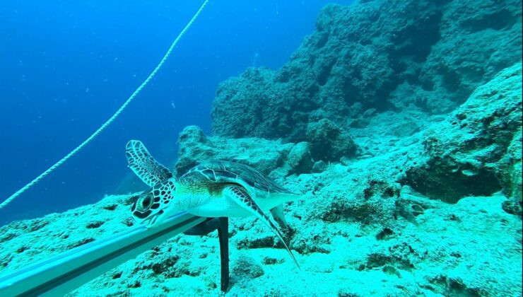 Karadeniz’de ‘mikroplastik’ tehlikesinde ‘nehir’ etkisi