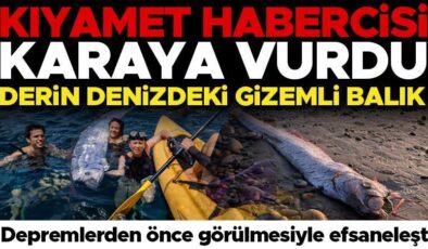 ‘Kıyamet balığı’ karaya vurdu: Öğrenciler tespit etti