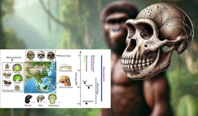 Çin’de yeni bir insan türü keşfedildi: Homo juluensi