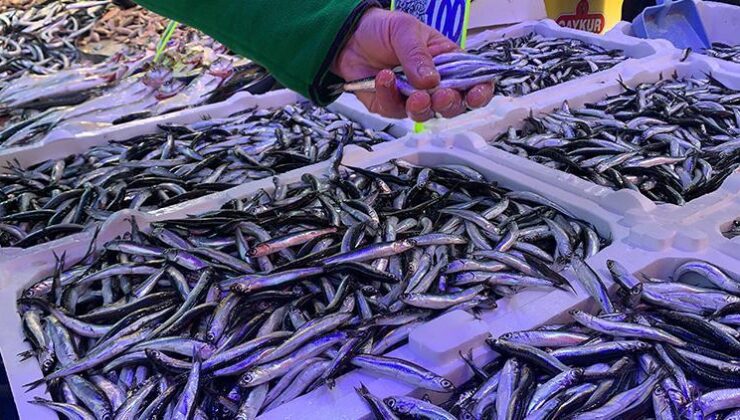 Karadeniz’de havalar soğudu, hamsi fiyatları düştü… İşte tezgahtaki satış fiyatı