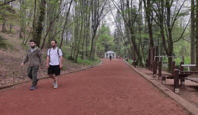 Tarım ve Orman Bakanlığından Belgrad Ormanı açıklaması