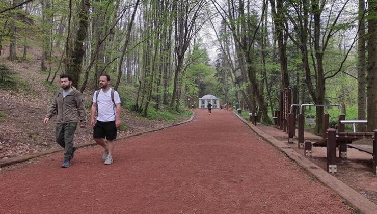 Tarım ve Orman Bakanlığından Belgrad Ormanı açıklaması