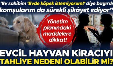 Evcil hayvan, kiracıyı tahliye nedeni olabilir mi? “Ev sahibim ‘Evimde köpek istemiyorum!’ diye bağırdı, komşularım da sürekli şikâyet ediyor” | Yönetim…