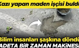 Kazı yapan maden işçisi buldu, bilim insanları şaşkına döndü! ‘Adeta bir zaman makinesi’