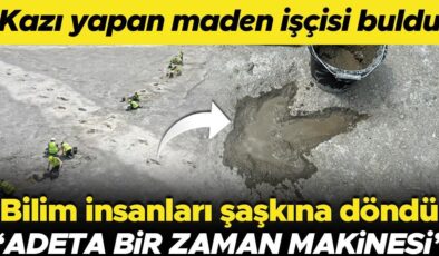 Kazı yapan maden işçisi buldu, bilim insanları şaşkına döndü! ‘Adeta bir zaman makinesi’