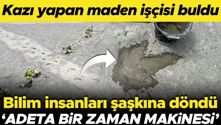 Kazı yapan maden işçisi buldu, bilim insanları şaşkına döndü! ‘Adeta bir zaman makinesi’