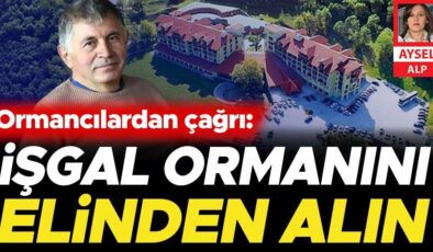 Ormancılardan çağrı: İşgal ettiği ormanı alın