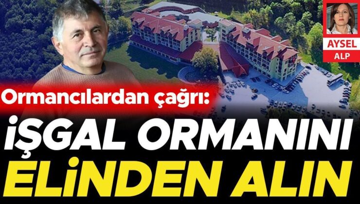 Ormancılardan çağrı: İşgal ettiği ormanı alın