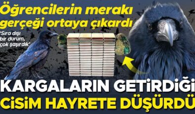 Öğrencilerin merakı gerçeği ortaya çıkardı: Kargaların getirdiği cisim hayrete düşürdü… ‘Sıra dışı bir durum, rögar kapakları etrafında daha çok bulunuyor’