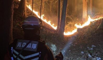 Japonya 1 haftadır yanıyor: 2 bin 600 hektar kül oldu